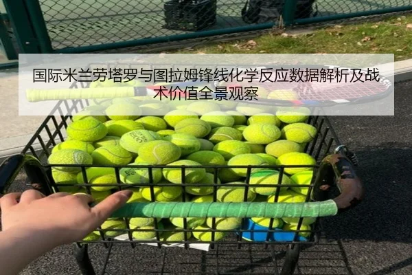 国际米兰劳塔罗与图拉姆锋线化学反应数据解析及战术价值全景观察（kaiyun）