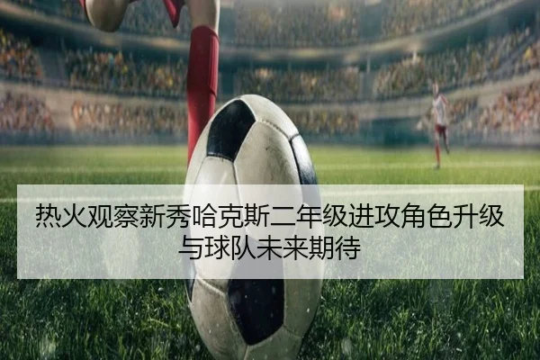 热火观察新秀哈克斯二年级进攻角色升级与球队未来期待